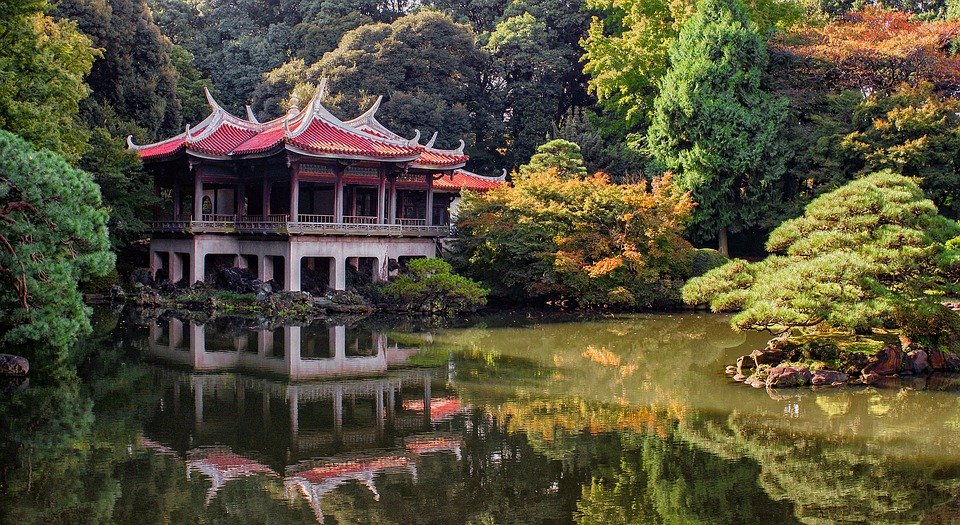 jardin japonais